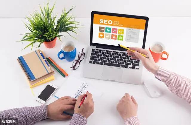 彭小苒发际线后移